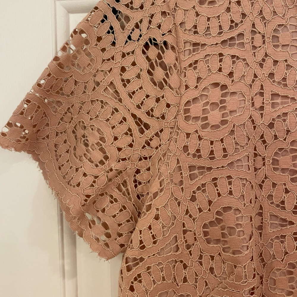 Ann Taylor Lace Shift Dress - Picture 2 of 7